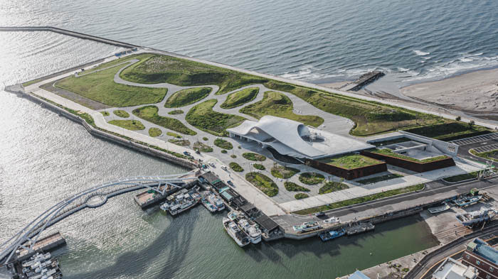 桃園永安漁港-鹼地荒野花園